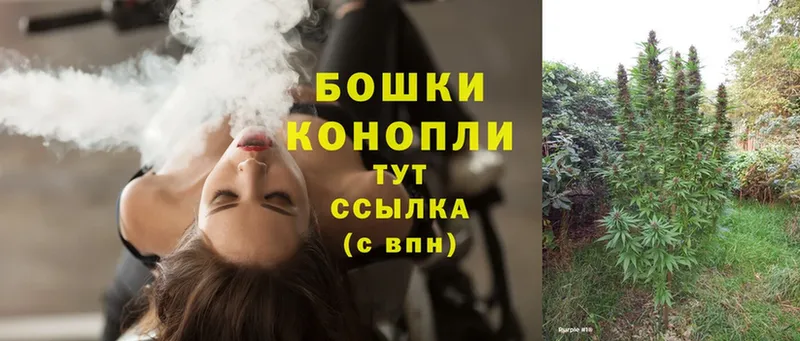 Канабис OG Kush  цены   Артёмовск 